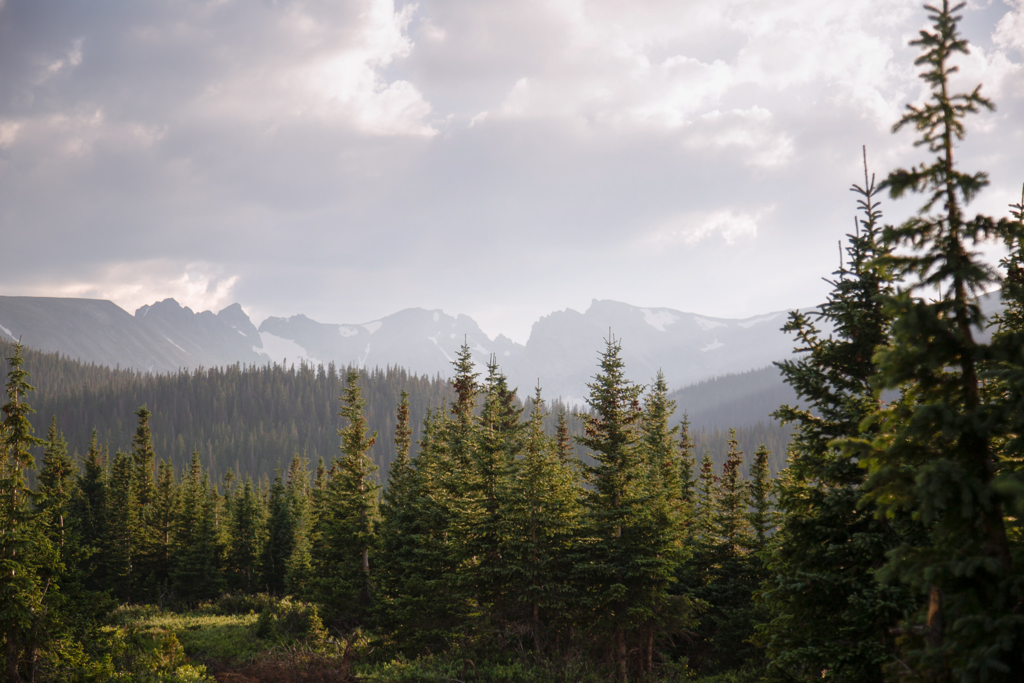 A view of the mountains behind Brainard Lake
