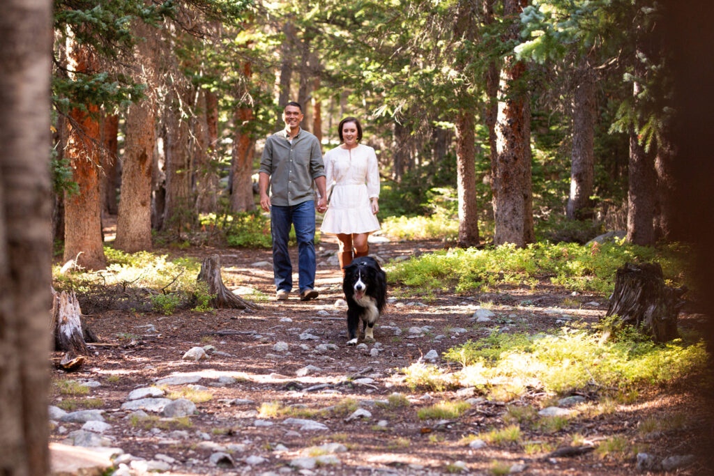 A couple walk in the woods with their boarder collie running in front of them. By Colorado Photographer Stephanie Eddy