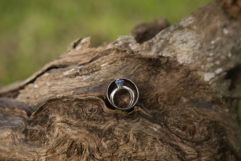Details of wedding rings on a gnarled log with a blue stone